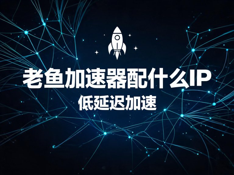 老鱼加速器配什么IP？平台速查