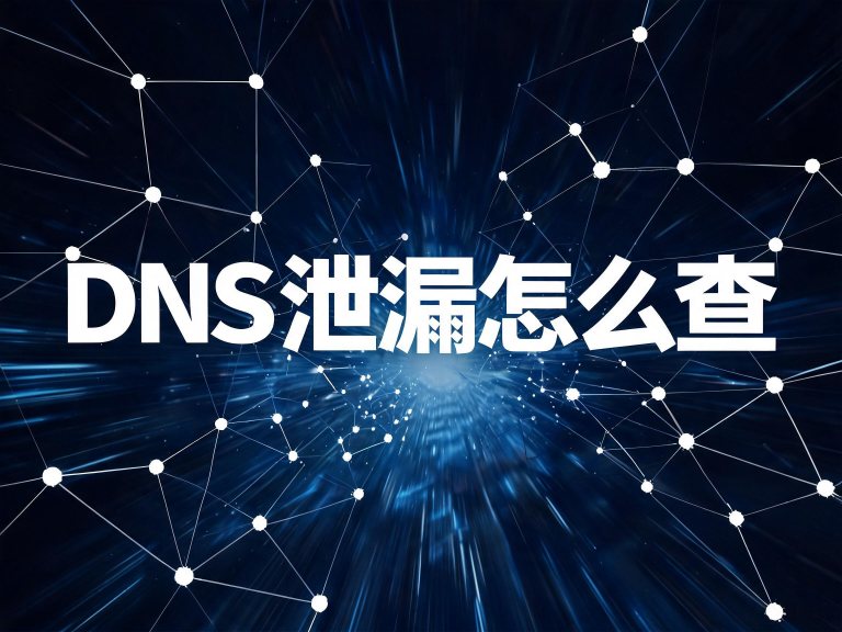 DNS 泄漏怎么查：socks5 与 socks5h 的实际差别